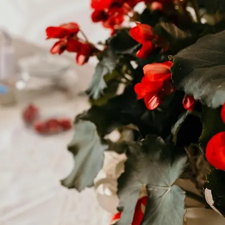 Palazzo Storico Di Nicola 佩斯卡拉