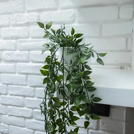 住宿加早餐酒店 Palazzo Storico Di Nicola 4*