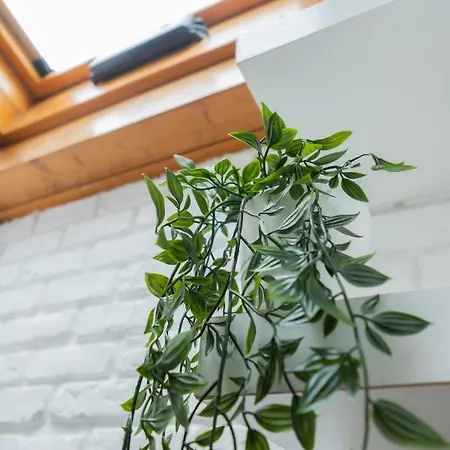 住宿加早餐酒店 Palazzo Storico Di Nicola 佩斯卡拉