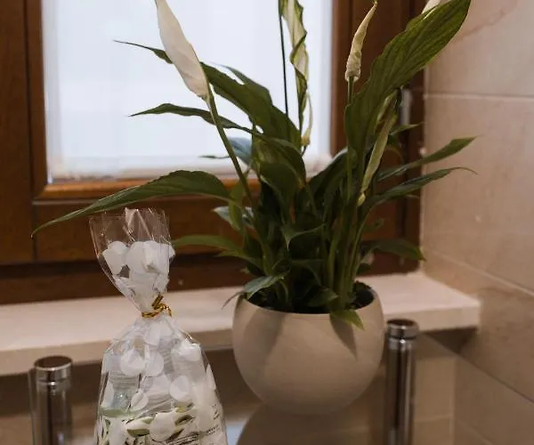 Palazzo Storico Di Nicola Frühstückspension 4*