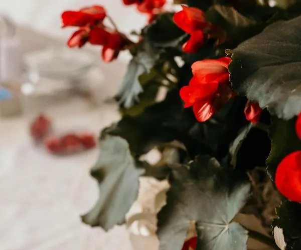 Palazzo Storico Di Nicola Pescara