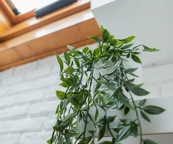 Bed & Breakfast Palazzo Storico Di Nicola Pescara